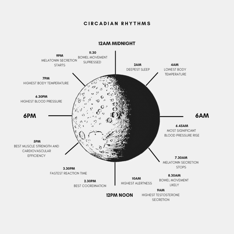 Reset Your Internal Clock: How Circadian Rhythms Boost Health