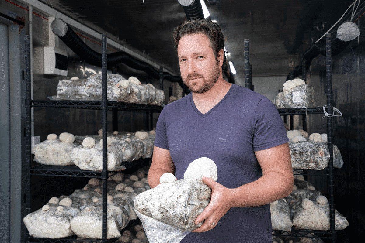 The 6 Reasons Our Lion’s Mane Mushroom Gets The Best Results